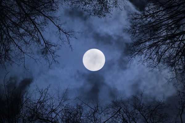 پس زمینه گوتیک آسمان شب با ماه کامل در زیر ابرها و سایه های درختان برهنه