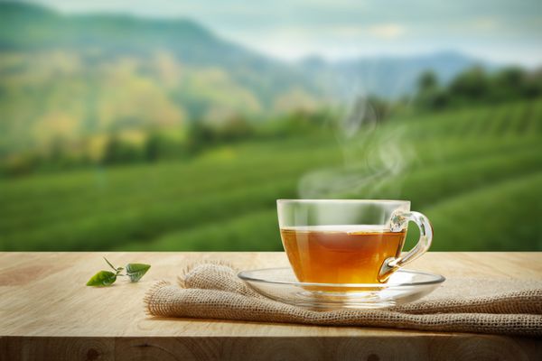 فنجان چای و برگ چای روی میز چوبی و پس زمینه مزارع چای