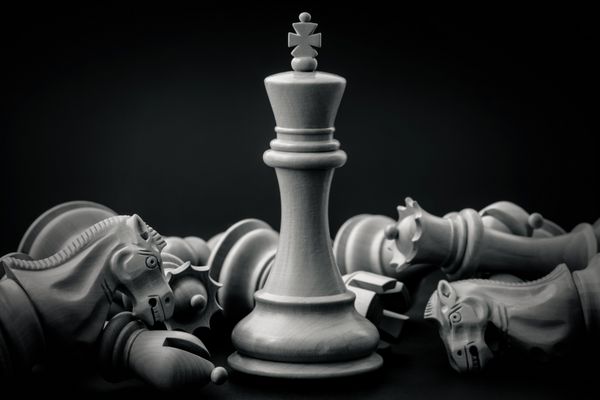 شاه سیاه و سفید و شوالیه شطرنج روی پس زمینه تیره تنظیم شده اند مفهوم رهبر و کار تیمی برای موفقیت مفهوم شطرنج نجات پادشاه و نجات استراتژی