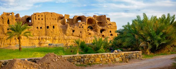 دهکده ای متروکه با دیوارهای پیس در نخلستانی بخشی از کویری ایران