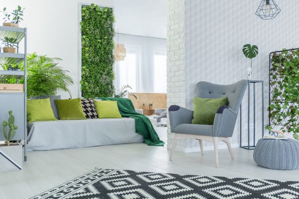 اتاق نشیمن روشن با مبل صندلی راحتی پوف و گیاهان سبز