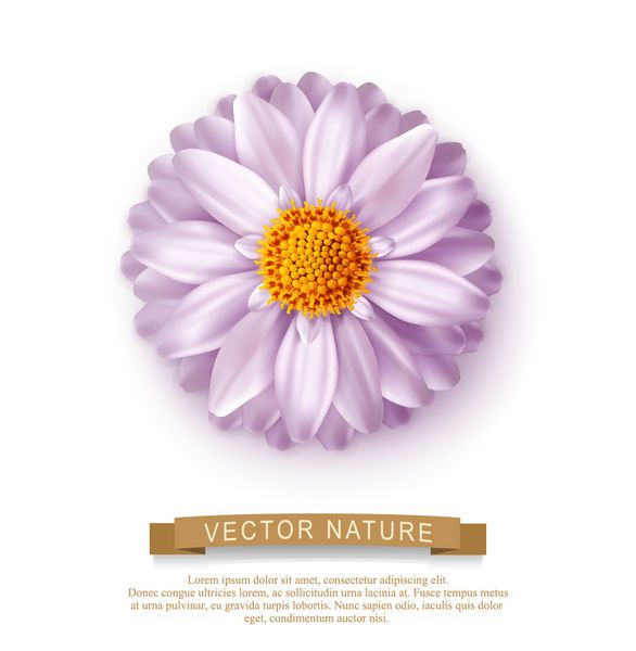 گل وکتور صورتی جدا شده در پس زمینه سفید عنصری برای طراحی گل و جشن