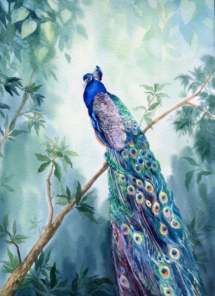 نقاشی آبرنگ با دست کشیده شده باغ بهشت با طاووس