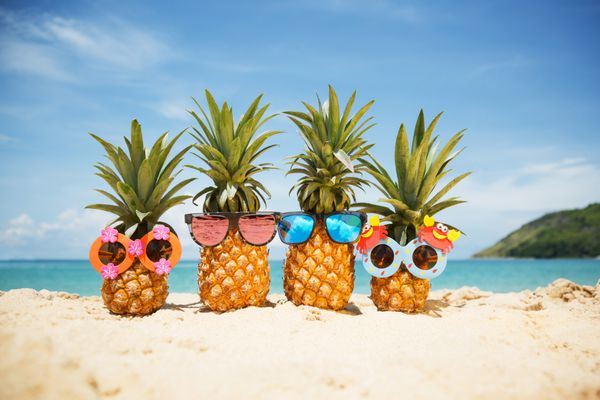 خانواده آناناس های جذاب بامزه با عینک آفتابی شیک روی شن و ماسه در برابر دریای فیروزه ای مفهوم تعطیلات تابستانی گرمسیری روز آفتابی مبارک در ساحل جزیره گرمسیری تعطیلات خانوادگی
