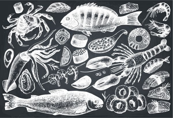 مجموعه وکتور نقاشی دستی غذاهای دریایی روی تخته سیاه ست طرح غذای قدیمی قالب منو