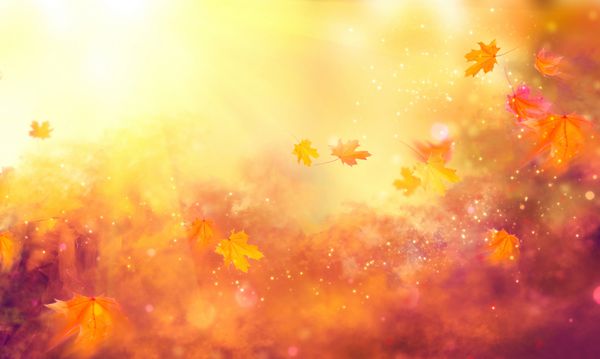 پس زمینه پاییز پس زمینه پاییزی انتزاعی پاییز با برگ های رنگارنگ و شعله های خورشید پرواز بر روی باد برگ های روشن رنگارنگ پس زمینه رنگ های زرد نارنجی و قرمز طراحی هنر انتزاعی