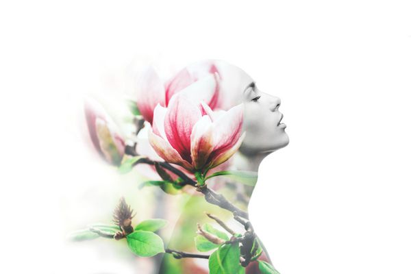 نوردهی دوگانه ساخته شده با زن جوان زیبا با پوست سالم و گل های ماگنولیا بهاری جدا شده