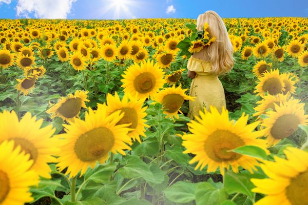 زن زیبا روی یک چمنزار با گل آفتابگردان ایستاده و با خوشحالی لبخند می زند