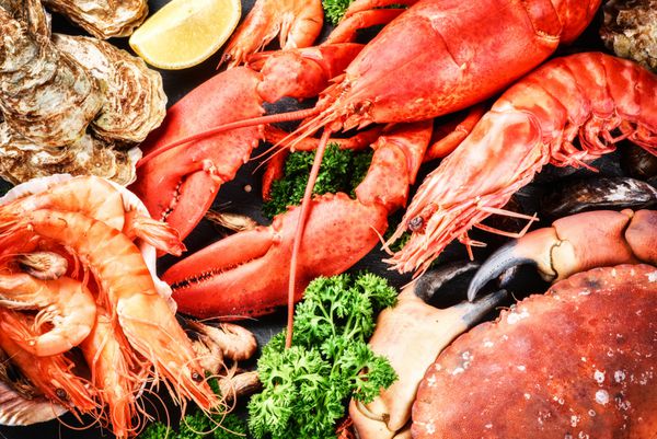 انتخاب خوبی از سخت پوستان برای شام خرچنگ خرچنگ و جامبو