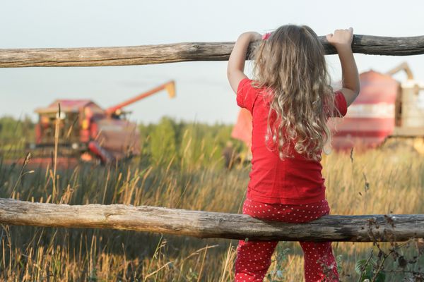 دختر نشسته در حال مشاهده مزرعه با کمباین کار قرمز