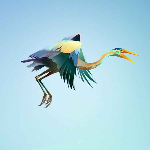 پرنده پرنده حواصیل رنگی جدا شده