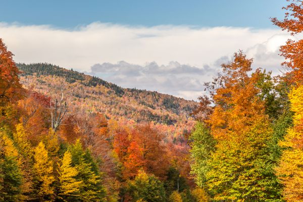 پاییز در کوهستان های شهرستان های شرقی کانادا درختان افرا رنگارنگ هنگام پیاده روی به سمت قله کوه اورفورد