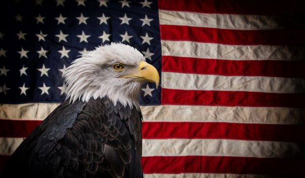 عقاب طاس آمریکایی با پرچم