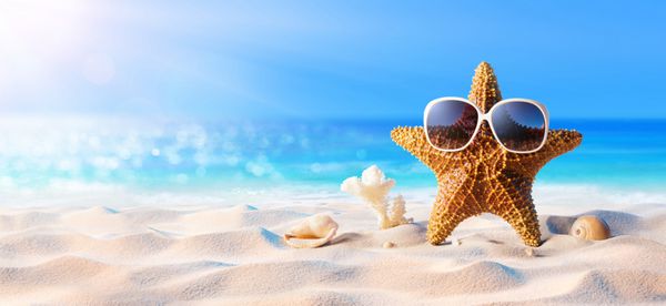 ستاره دریایی با عینک آفتابی در ساحل آفتابی