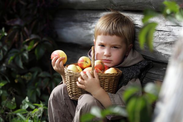 پسری با یک سبد سیب در دست
