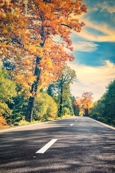 منظره رنگارنگ پاییزی با جاده خالی