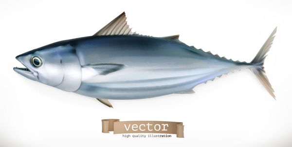ماهی تن نماد وکتور سه بعدی غذاهای دریایی سبک رئالیسم