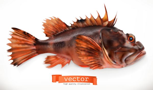عقرب ماهی نماد وکتور سه بعدی غذاهای دریایی سبک رئالیسم