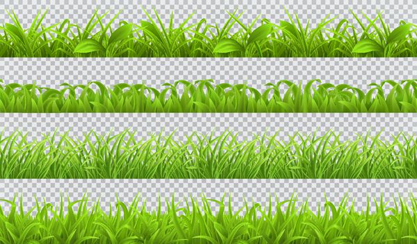 بهار سبز چمن الگوی بدون درز مجموعه وکتور های واقع بینانه 3d