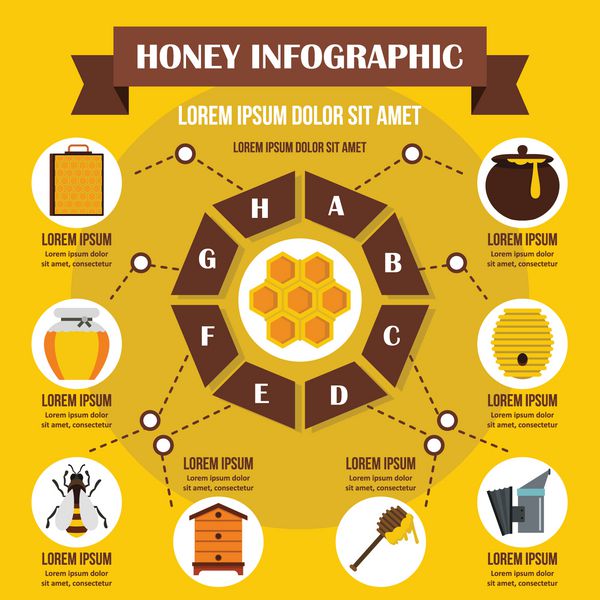 مفهوم اینفوگرافیک عسل سبک مسطح