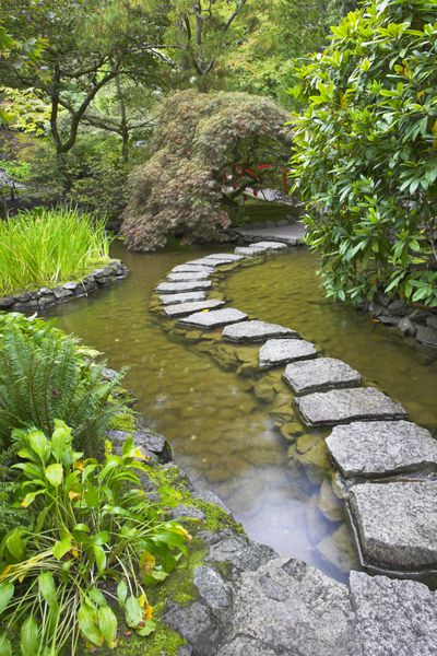 مسیر پیاده رو از سنگ های آجر از طریق یک حوضچه زیبا در باغ ژاپنی