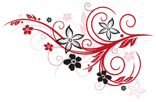 طوطی Filigree با گل های زیبا و برگ قرمز و سیاه