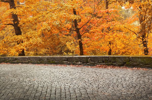 منظره پاییز با جاده باستانی و درختان رنگی زیبا