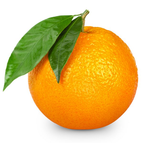 نارنجی بر روی زمینه سفید جدا شده است