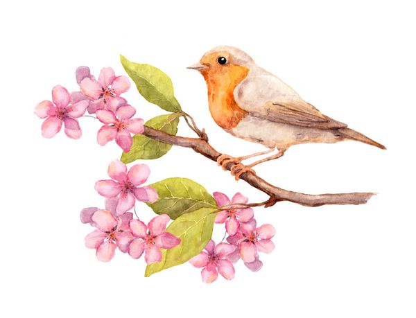 پرنده در شاخه بهاره با گل ها و برگ های شکوفایی آبرنگ هنر