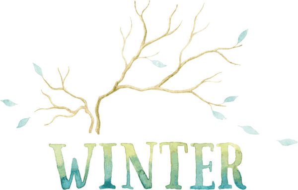 کلمه WINTER با آبی رنگ آبی و سبز و شاخه های با برگ های آبی رنگ رنگ شده است نقاشی آبرنگ Vectorized