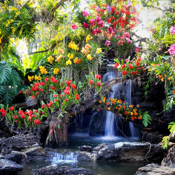 آبشار در باغ