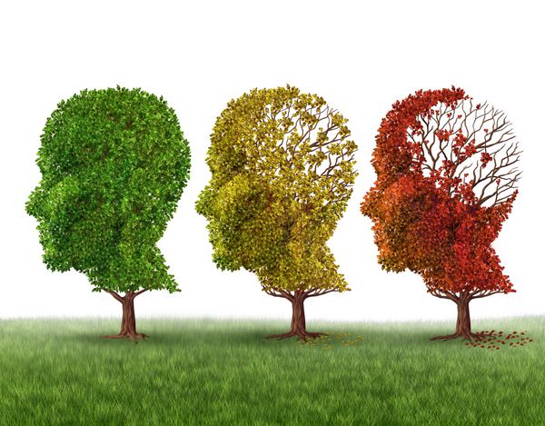 Memory loss and brain aging due to dementia and alzheimer