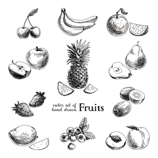 مجموعه ای از مجموعه ای از میوه ها و انواع توت ها با دست کشیده شده تصویر یکپارچهسازی با سیستمعامل