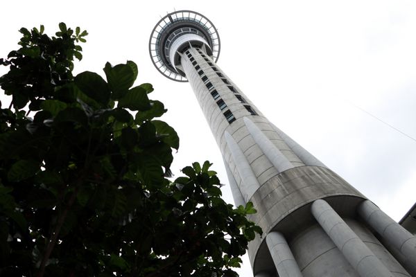 Auckland Skytower چشم انداز متفاوتي را شکل می دهد