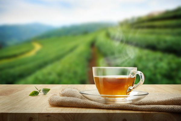 فنجان چای با برگ و برگ چای بر روی میز چوبی و پس زمینه چای کاشته شده است