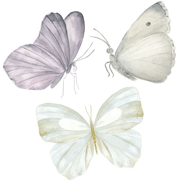 پروانه های آبرنگ مجموعه
