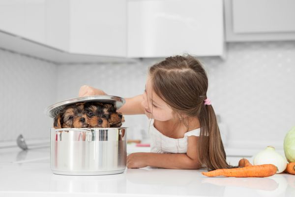 دختر کوچک با یک سگ توله سگ در آشپزخانه