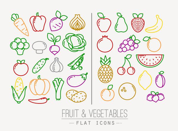 مجموعه ای از میوه ها و سبزیجات آیکون با خطوط رنگی در زمینه سفید