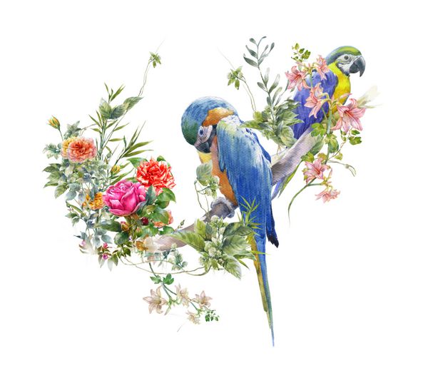 نقاشی آبرنگ با پرنده و گل در زمینه سفید