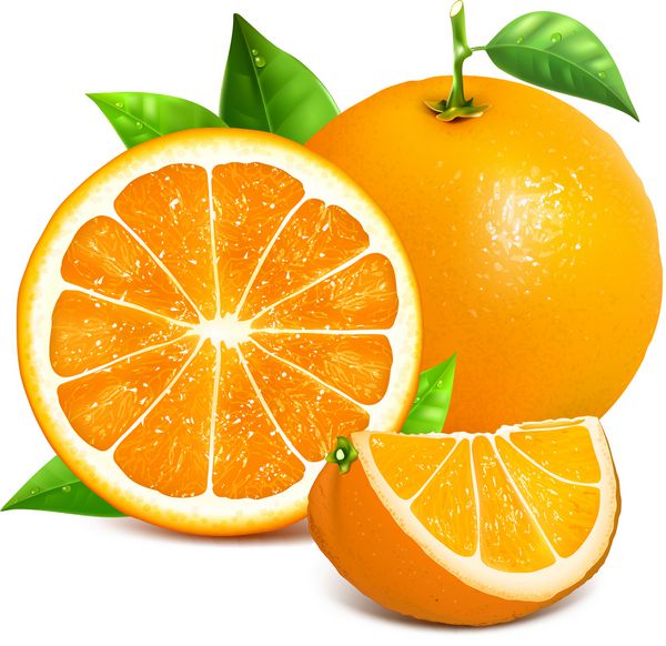کل نارنجی و تکه های پرتقال تصویر برداری از پرتقال مش دست ساز کاملا قابل ویرایش