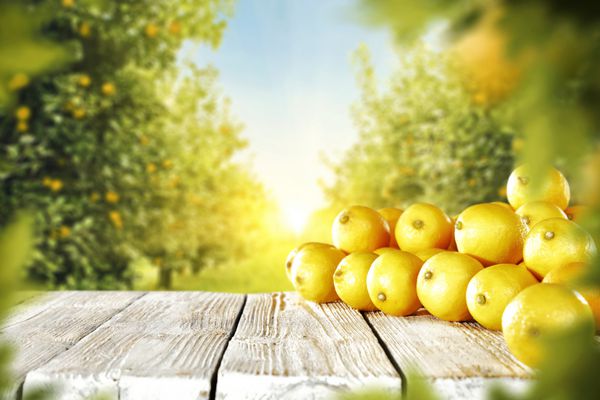 لیمو های زرد در محل میز چوبی