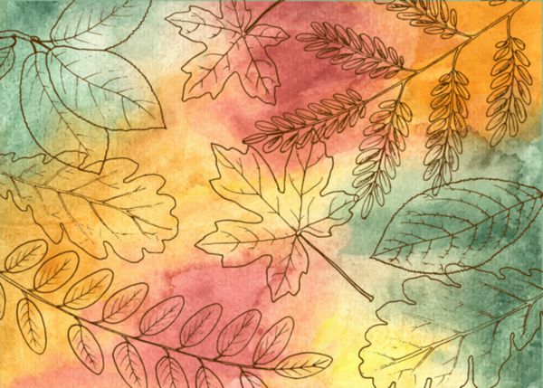 دست رنگارنگ کشیده برگ پاییزی تصویر برداری