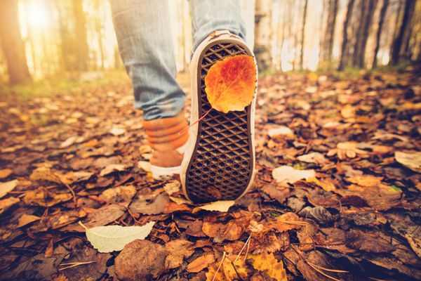 کفش کتانی پا در حال قدم زدن در برگ های سقوط در فضای باز با طبیعت فصل پاییز در پس زمینه سبک زندگی مد مد روز سبک