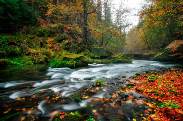 پاییز بارانی در Edmund Gorge Bohemian Switzerland جمهوری چک