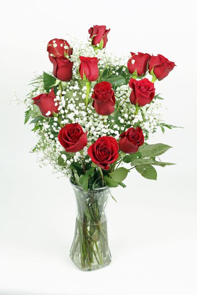 یک گل رز قرمز با برگ های خود و بچه های سفید رنگ طلایی را در یک گلدان شیشه ای شفاف می بینند دوجین گل رز قرمز تازه با بچه ها نفس کشیدن در یک گلدان شیشه ای