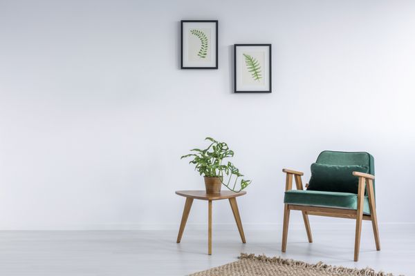 داخلی سفید با صندلی سبز گلدان فرش و میز کوچک