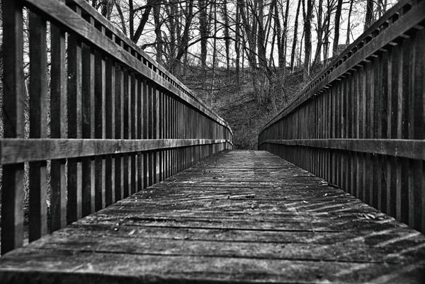 پل پل سیاه و سفید