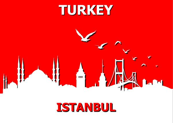 خط افق استانبول با سرخ مایل به قرمز و پرندگان