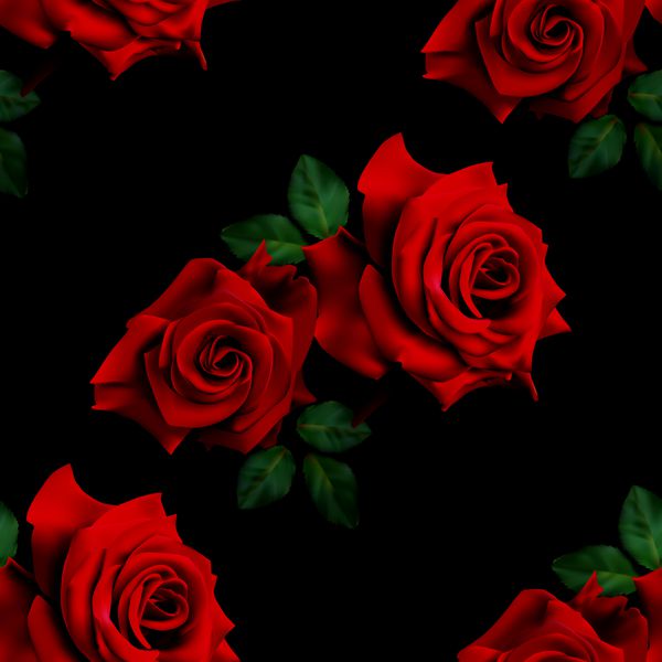 الگوی زیبا بدون درز با گل رز قرمز در پس زمینه سیاه و سفید تصویر برداری