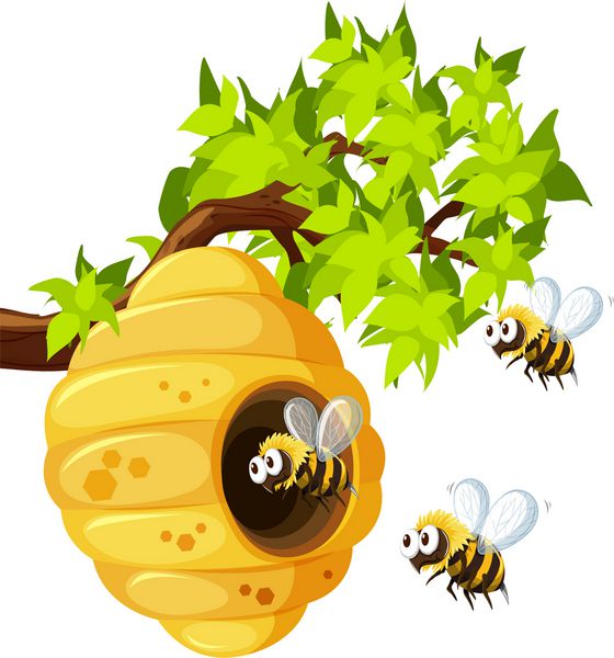زنبورها در اطراف تصویر زنبور عسل پرواز می کنند